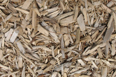 biomass boilers Woolstone